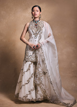 Ivory organza gharara set