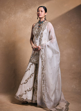 Ivory organza gharara set
