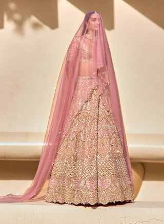Rose lit pink lehenga set