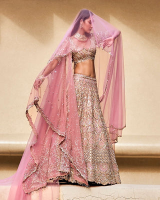 Rose lit pink lehenga set