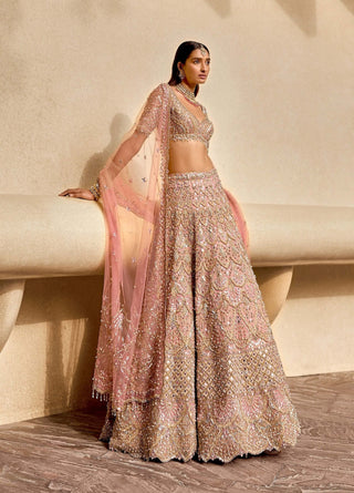 Rose lit pink lehenga set
