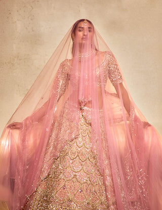 Rose lit pink lehenga set