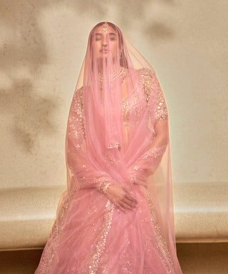 Rose lit pink lehenga set