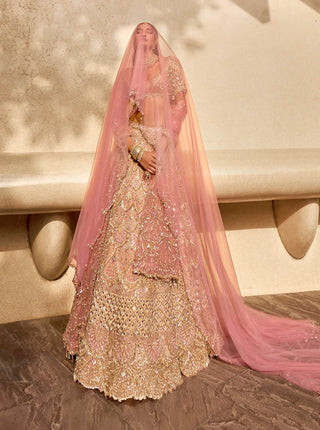 Rose lit pink lehenga set