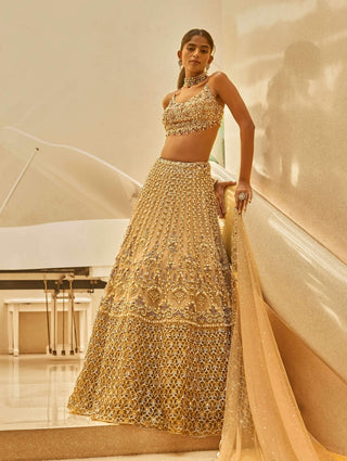 Biscuit luxe lehenga set