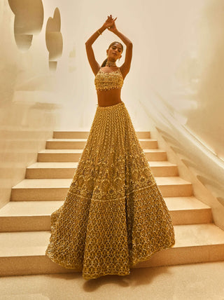 Biscuit luxe lehenga set