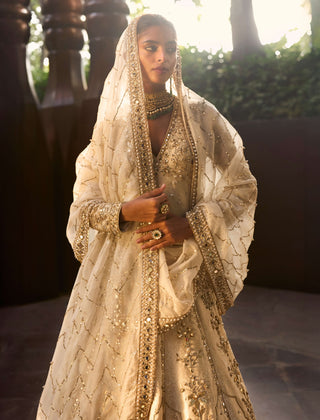 Beige gold harmony lehenga set