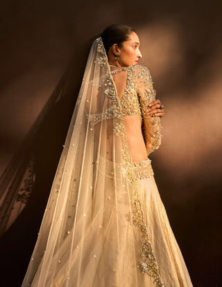 Champagne gold brocade lehenga set