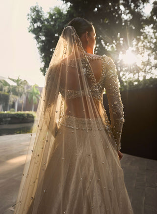 Champagne gold brocade lehenga set