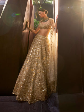 Silver tissue mirrorwork lehenga set