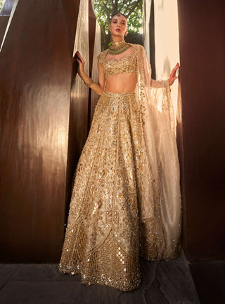 Silver tissue mirrorwork lehenga set