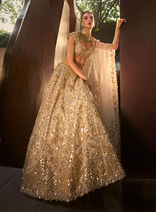 Silver tissue mirrorwork lehenga set