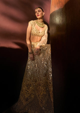 Silver tissue mirrorwork lehenga set