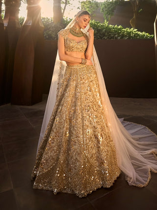 Silver tissue mirrorwork lehenga set