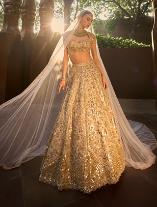 Silver tissue mirrorwork lehenga set