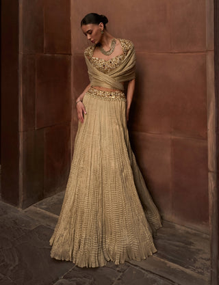 Golden tissue crush lehenga set
