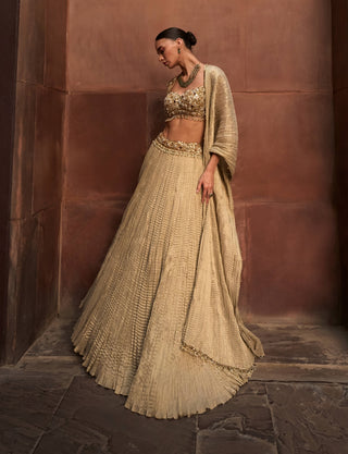 Golden tissue crush lehenga set