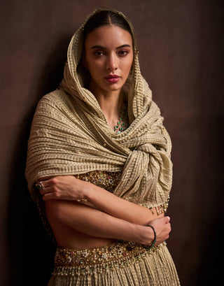 Golden tissue crush lehenga set