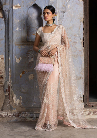 Nitika Gujral-Blush Pink Net Embroidered Sari Set-INDIASPOPUP.COM
