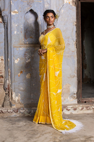 Nitika Gujral-Yellow Chiffon Sari Set-INDIASPOPUP.COM
