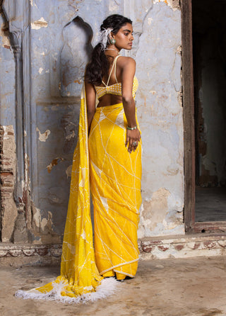 Nitika Gujral-Yellow Chiffon Sari Set-INDIASPOPUP.COM