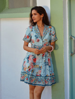 Eva multicolor collared mini dress