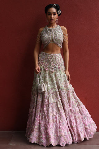 Sakura embellished pink lehenga and blouse