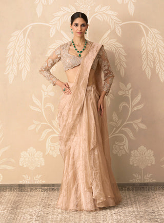 Gunmetal gold hoorani sari with blouse