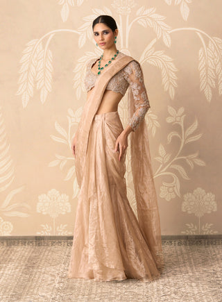 Gunmetal gold hoorani sari with blouse