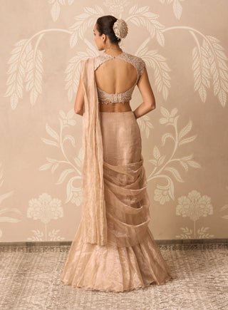 Gunmetal gold hayaa sari with blouse