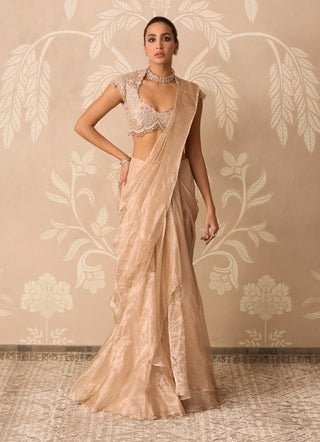 Gunmetal gold hayaa sari with blouse