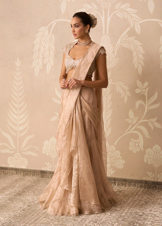 Gunmetal gold hayaa sari with blouse