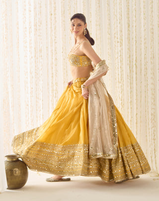 Mustard gold bustier and lehenga set