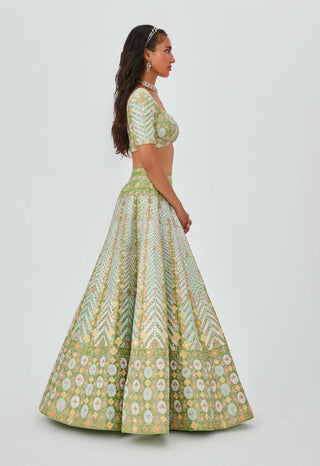 Aisha Rao-Ziba Lime Embellished Lehenga Set-INDIASPOPUP.COM