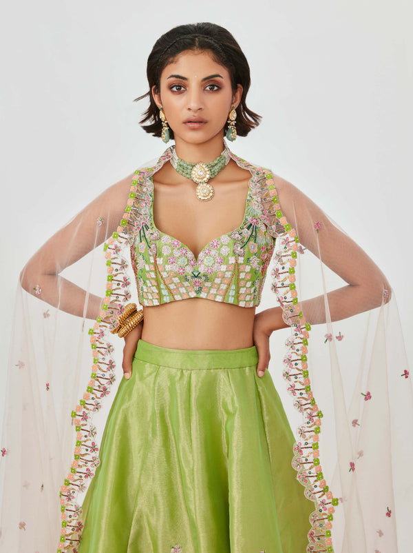 Sheen Green Lehenga Choli