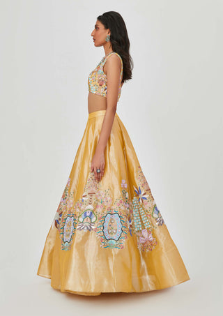 Aisha Rao-Nasima Yellow Embellished Lehenga Set-INDIASPOPUP.COM