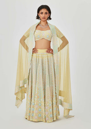 Aisha Rao-Yasmin Yellow Embellished Lehenga Set-INDIASPOPUP.COM