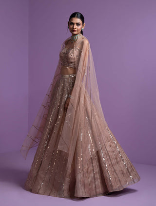 Parul Gandhi-Caramel Blaze Lehenga Set-INDIASPOPUP.COM