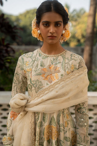 Ivory floral printed anarkali and dupatta