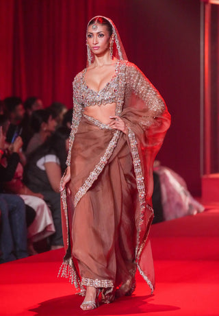 Varnika brown organza sari set