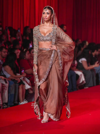 Varnika brown organza sari set
