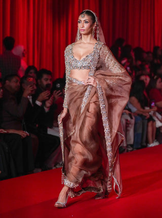 Varnika brown organza sari set