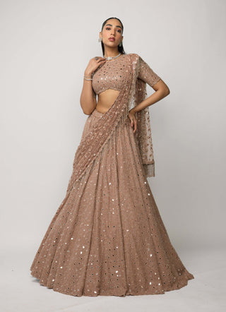 Bronze rosé lehenga set