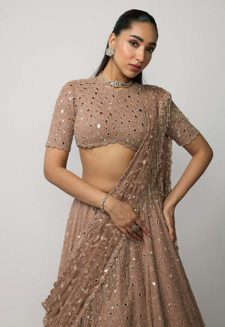 Bronze rosé lehenga set