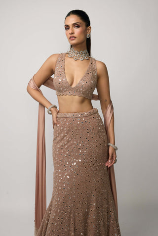 Bronze rosé fishcut lehenga set