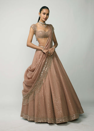Bronze Rosé Sequins Embroidered Lehenga Set