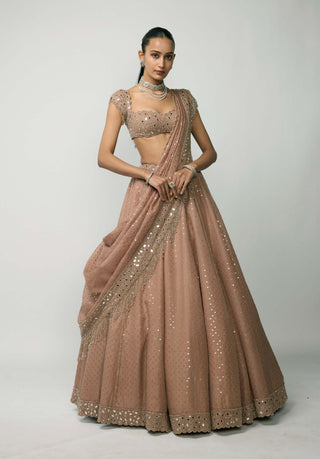 Bronze Rosé Sequins Embroidered Lehenga Set