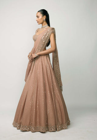 Bronze Rosé Sequins Embroidered Lehenga Set