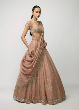 Bronze Rosé Sequins Embroidered Lehenga Set