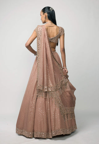 Bronze Rosé Sequins Embroidered Lehenga Set